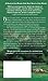 An Irish Country Village: A Novel (Irish Country Books, 2)