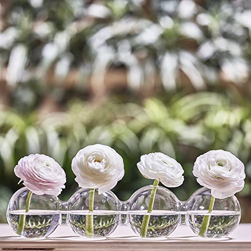 Caterpillar, Large Clear Glass Bud Vase 13" Long 4" Wide 3.5” Tall for