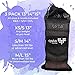 Hip Band - Resistance Bands - Squat as Katy Hearn Glute Band - Activation w/Thick Resistance for Legs, Squat, Abductor - Hip Thruster Loop Mark Fabric Circle (It Won’t Snap, Roll or Break + Free App)