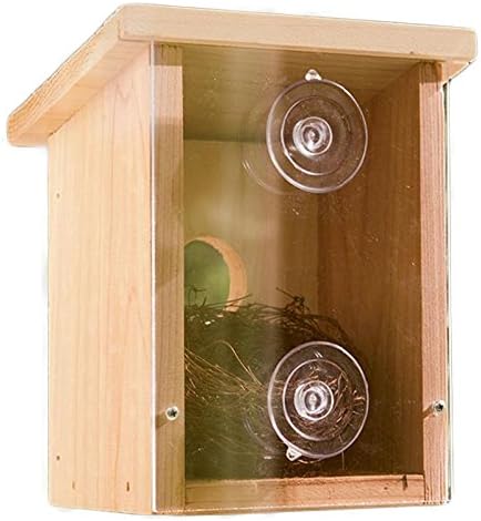 Window Nest Box