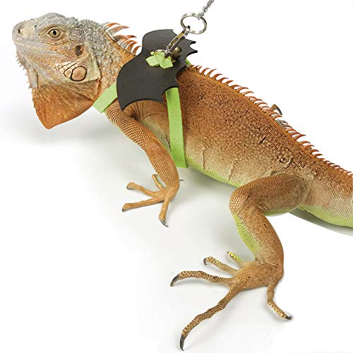 25 Best Bearded Dragon Leash and Harness 2019 (Reviews &amp; FAQs)