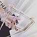 Women's Transparent Clear Purse Clutch Bag Evening Handbags Cross-Body Bag for Women NFL Stadium Approved Acrylic, Chain Strap (White)