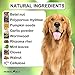 HERBALPET 8in1 Health Supplements | Natural Dog Dewormer Alternative | Intestinal Cleanse | Works for Puppy, Small, Medium and Large Dogs | 5 Tablets | One-time Treatment