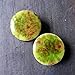 Pair - Pistachio Green Glass Essential Oil Ear Plugs Organic Handmade Ceramic double-flared body jewelry