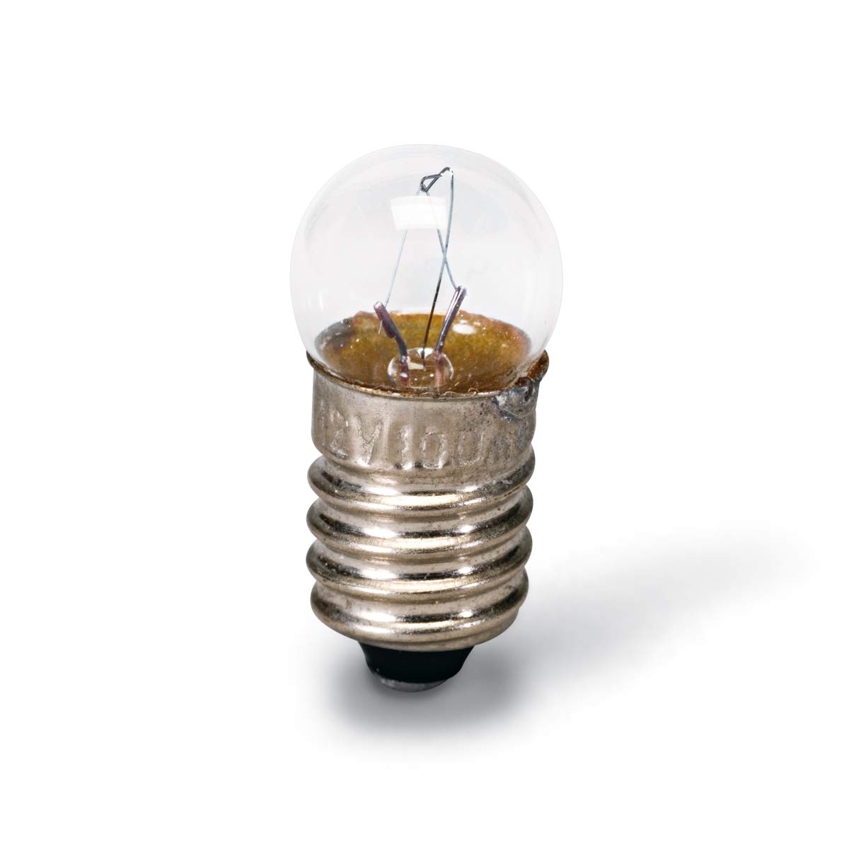 3B Scientific U29512 E10 Bulbs, 12 V, 100 mA, Pack of 10