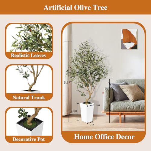 PHYTREE Artificial Olive Tree, 5.5FT Faux Olive Tree with White Tall Planter, Large Fake Potted Olive Plants with Lifelike Fruits and Realistic Trunk, Artificial Trees for Home Office Decor Indoor