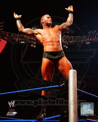 WWE Randy Orton Halloween Costumes