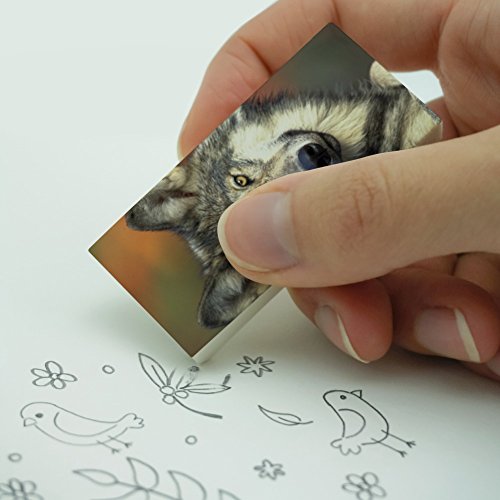 Gray Wolf with Fall Background Eraser Set of 2