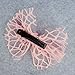 Fitwarm Luxury Pink Lace Dog Tutu Dress Pet Wedding Clothes Shirts + Matching Hair Clip, Pink, Small