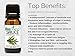 Biofinest Spruce Essential Oil - 100% Pure Organic Therapeutic Grade - Best for Aromatherapy, Skin and Hair Care, Ease Sleep Stress Bad Mood Fatigue Muscle Joint Pain Arthritis - Free E-Book (10ml)