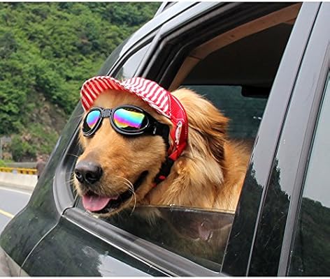 dog sun visor hat