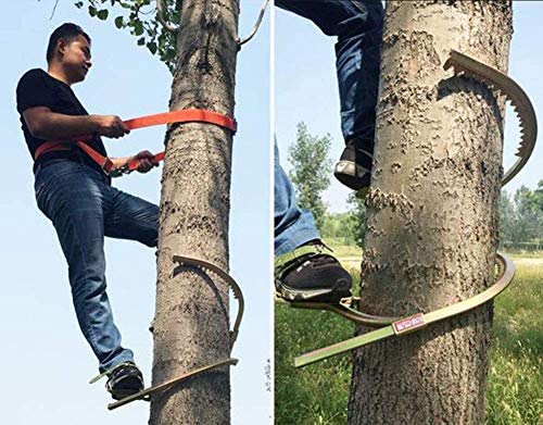 DFJU Kletterbäume Artefakt Stahl Klettersteigeisen Rutschfester Baum Forstzubeh & ouml, Für die Jagd Überwachung, Obst… – Bild 3