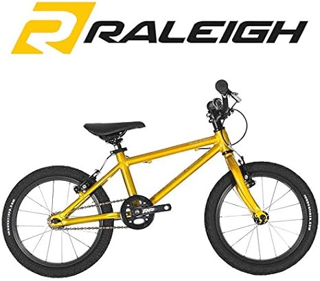 raleigh performance 16