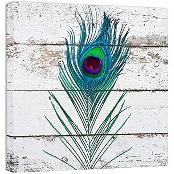 BOLUO Peacock Wall Decor Feathers Canvas Art Painting Framed Rustic Wood Texture Prints Bathroom Decorations 12 x12 Inch (Feather)
