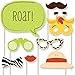 Big Dot of Happiness Funfari - Fun Safari Jungle - Photo Booth Props Kit - 20 Count