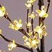 Excelvan Safe Voltage 1.5M/5FT 180 LEDs Cherry Blossom Tree Light with Warm White Light Black Branches for Home Festival Party Bar Wedding Indoor Outdoor Decoration (Cold White)