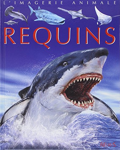 Les  requins