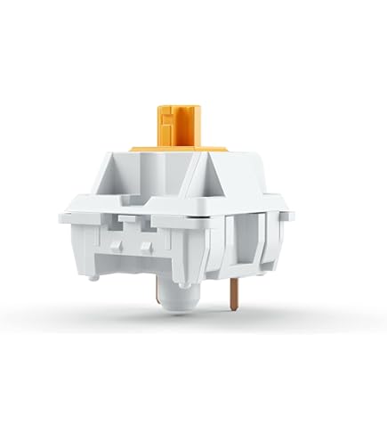 Amazon.com: Glorious Panda Switch (Non Lubed Switches) - 36x Plate