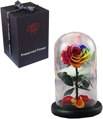 Amazon 永生花星の王子さまガラスカバーギフトボックスクリスマスギフト新しいバラの花完成 Colorful Wllit 置物 オブジェ