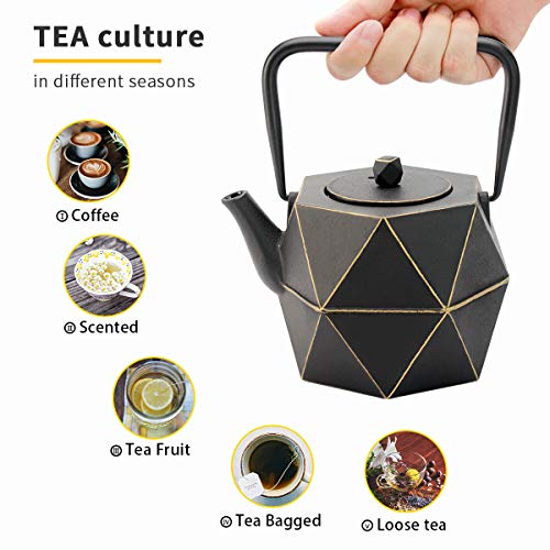 Toptier Cast Iron Teapot, Stovetop Safe Japanese Cast Iron Tea Kettle