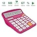 Helect Calculator, Standard Function Calculator (Plum)
