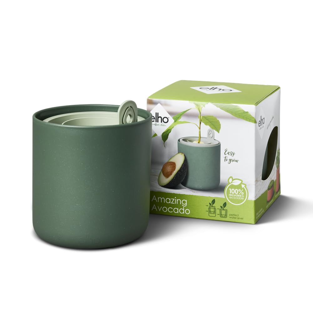 elho Amazing Avocado Pot 12 - Grow Your Own Kits for Avocadoplant - 100% Recycled Plastic - Ø 12.0 x H 12.1 cm - Green/Leaf Green