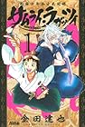 サムライ・ラガッツィ&nbsp;戦国少年西方見聞録 全10巻 （金田達也）