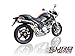 Ducati Monster S4R S4RS Testastretta Zard Exhaust Carbon Mufflers +2.5HP