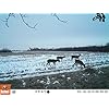 Bushnell-12MP-Trophy-Cam-HD-Essential-Low-Glow-Trail-Camera-Brown Bushnell-12MP-Trophy-Cam-HD-Essential-Low-Glow-Trail-Camera-Brown