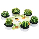DeDeSoon Cactus Tealight Candles, Handmade Delicate Succulent Cactus Candles for Birthday Party Wedding Spa Home Decoration, 6 Pcs in Pack.