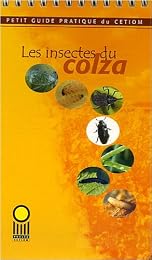 Les  insectes du colza
