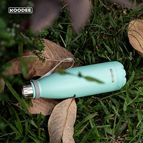 Stainless steel water bottle with a price of $9.33.
