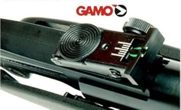 fucili ad aria compressa gamo