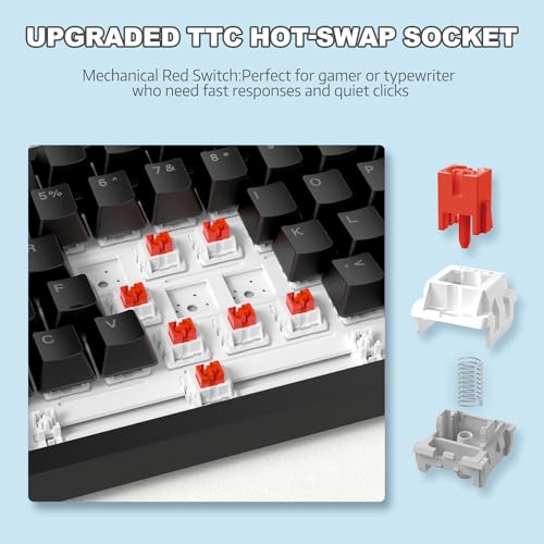 ATTACK SHARK Ajazz AK820 Mechanical Keyboard with with CNC Knob Control,75% Gasket Mount Keyboard and Detachable USB Wired Gaming Keyboard for Wind/Mac,White Light,NKRO,Blue Clicky Switch(Black)