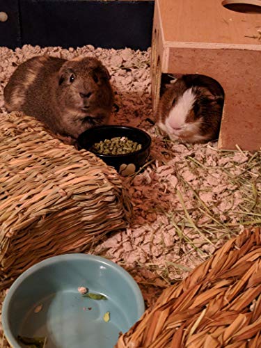 6 Small+Pet+Select+Natural+Bedding