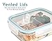 Glass Meal Prep Containers, Set of 3 - Meal Portion Control Container by Lofte - BPA-Free, Food Safe Lunch Organizers with Dividers for Packed Lunches or Saving Leftovers - Storage for Foods with Lids