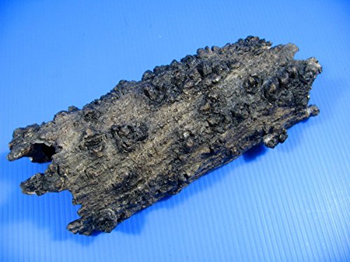 Tree bark Cave Aquarium Ornament Decor Drift Wood Trunk (S)