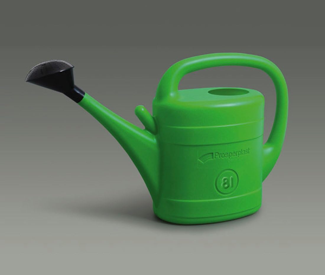 8L Green Plastic Watering Can w/ Black Rose Head For Delicate Jobs Small Plants Amazon.co.uk