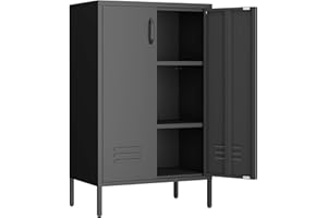 IRONFFICE Metal Storage Cabinet,Metal Cabinet with Adjustable Shelves, 2 Door Locker Cabinets with Doors,Morden Accent Cabinets for Living Room,School,Office,Black