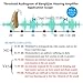 Banglijian Hearing Aid Rechargeable 201P Powerful gain with 4 Channels, Layered Noise Reduction, Adaptive Feedback Cancellation, 2 Types of Sound Tubes