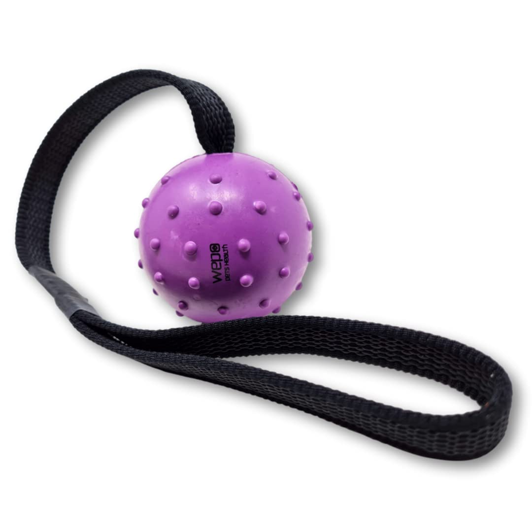Wepo, dog toy, natural rubber ball with rope, lightweight spinner ball, ideal for puppy dog, toy on a rope, 7 cm