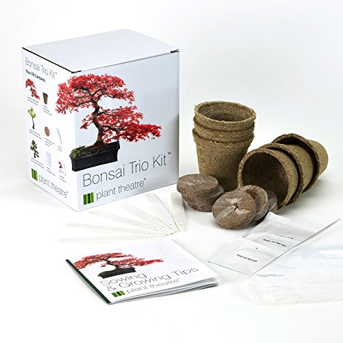 Kit Bonsaï à Faire Pousser Plant Theatre Kit Bonsai - Plantes, Graines et Bulbes Prêt-à-Pousser