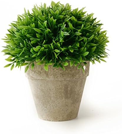 Kumii Small Artificial Topiary Plant in Pot for Office Desk Bathroom Kitchen, Home Decor (Green Grass)