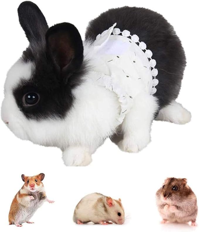 XXDYF Guinea Pig Harness and Leash Set, Soft Small Pet