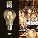Lucero LED Filament Healthy Edison Light Bulb - Dimmable Warm White 6W - 60W Equivalent UL Listed A19 E26/27 Base 2700K