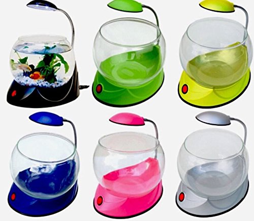fish bowl buy online