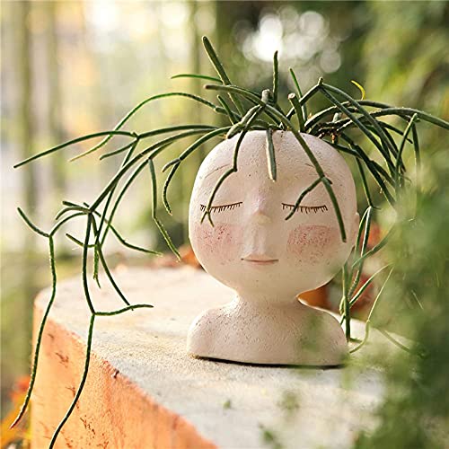 LucaSng Face Flower Pot Head Planter Pot, Cute Female Head Design Succulents Plant Pot with Drainage Hole/Cactus Planter Indoor Outdoor Resin Planter, Cute Plants Flower Pot,No Plant (A)