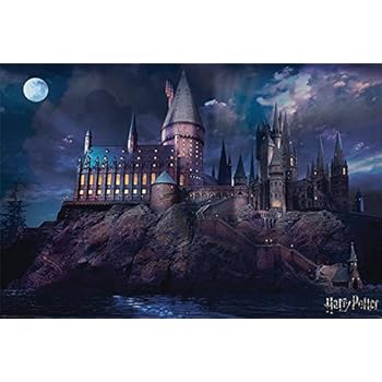 Harry Potter - Movie Poster Print (Hogwarts By Night) (Size: 36