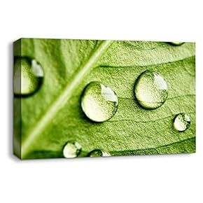 Canvas Wall Art Leaf Veins Pictures Home Wall Decorations for Bedroom Living Room Paintings Canvas Prints Framed - 12x18 inches