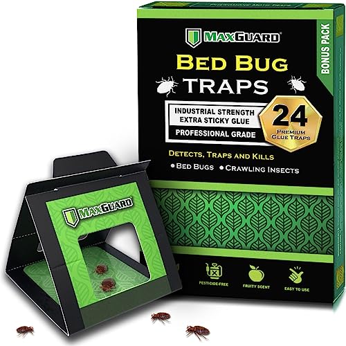MaxGuard Bed Bug Traps